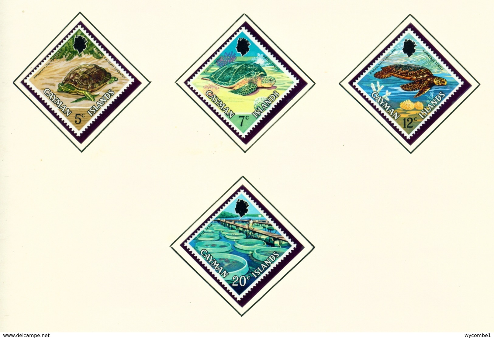 CAYMAN ISLANDS - 1971 Turtles Set Unmounted/Never Hinged Mint - Cayman Islands