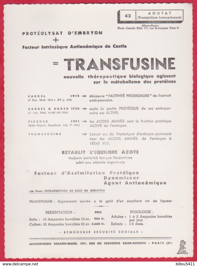 Publicité PHOTO Médicament ; Pharmacie ; TRANSFUSINE (AOUTAT "Trompidium Holosericeum") - Reclame