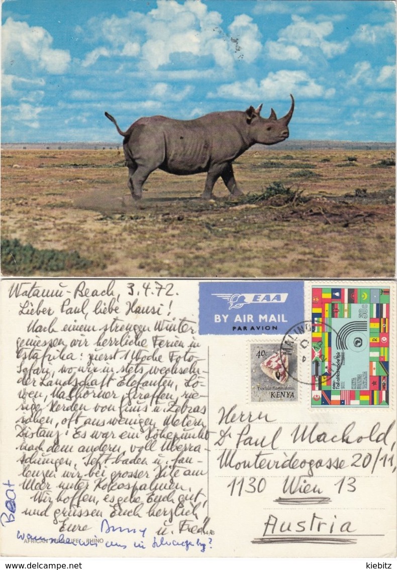 Kenya 1972 - Nashorn, Rhinozeros - Neushoorn