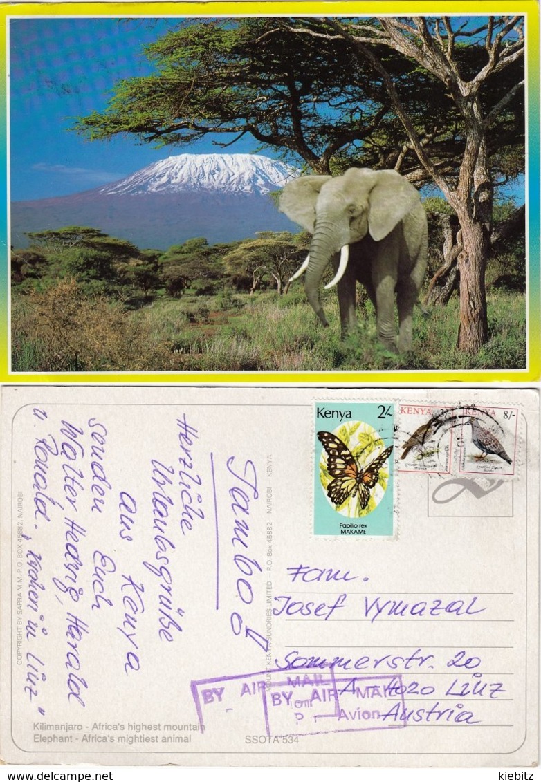 Kenya - Elefant Mit Kilimandscharo - Elefanten