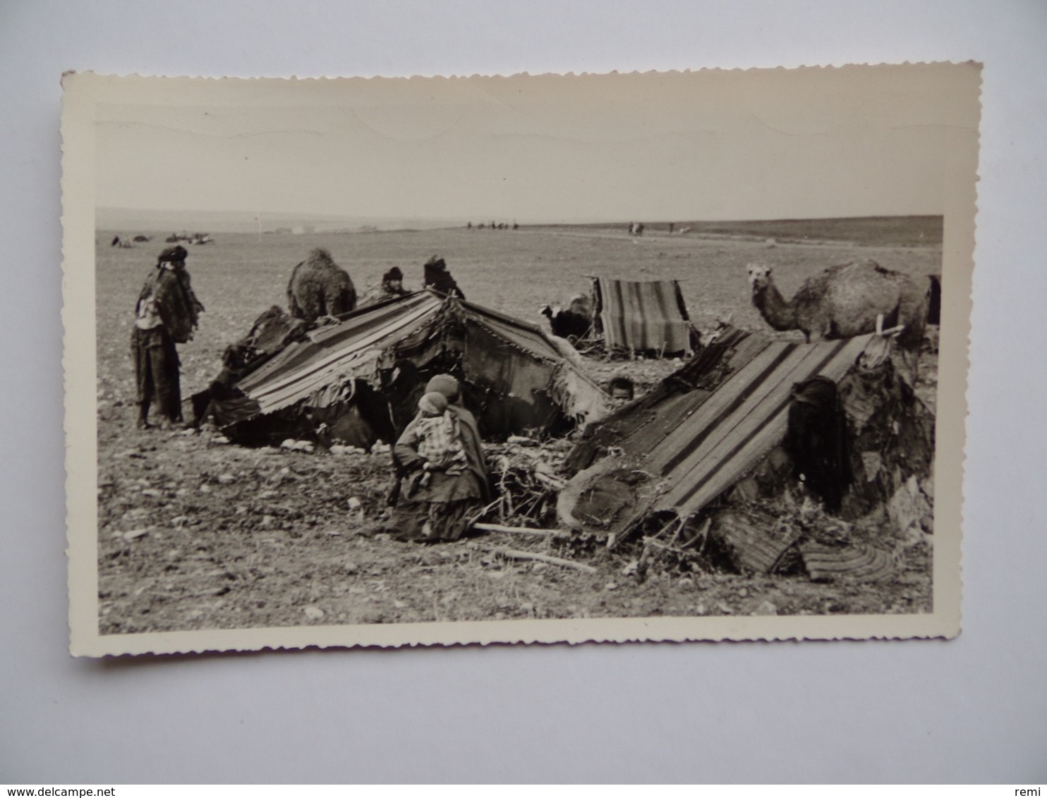 Photo Région De TOZEUR Tunisie Camps De Nomades 1950/60 Environ - Lieux