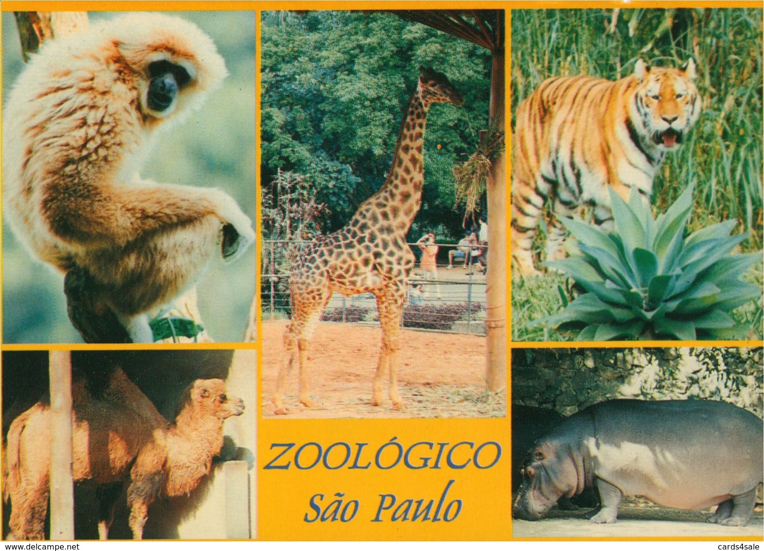 Brazil - Sao Paulo - (Zoo) Zoologico - São Paulo