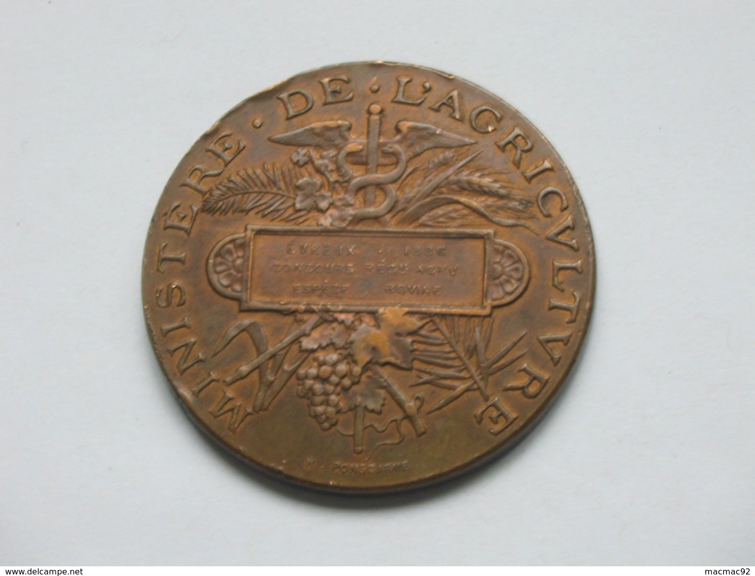 Médaille REPUBLIQUE FRANCAISE - Ministere De L'agriculture - Evreux 1886 - Espece Bovine  **** EN ACHAT IMMEDIAT **** - Professionnels / De Société