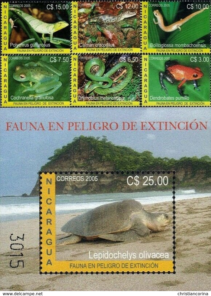 NICARAGUA 2005 REPTILES AMPHIBIANS - Altri & Non Classificati