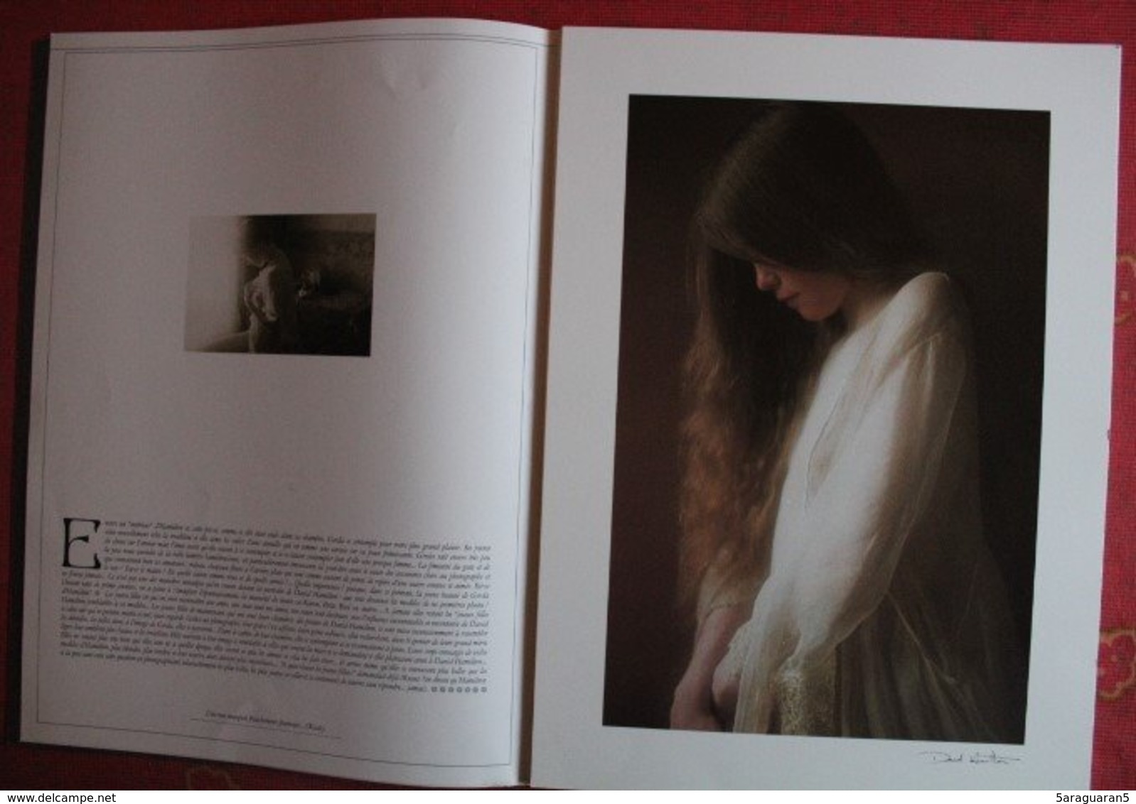 PORT FOLIO DAVID HAMILTON - FILLES FLEURS - 1979 - Non Classés