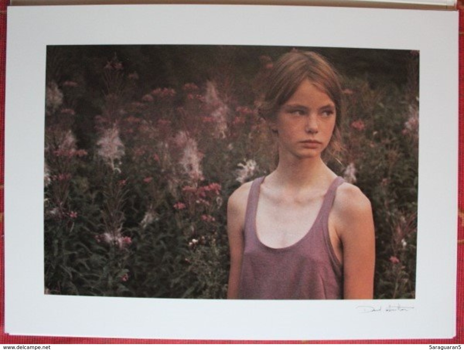 PORT FOLIO DAVID HAMILTON - FILLES FLEURS - 1979