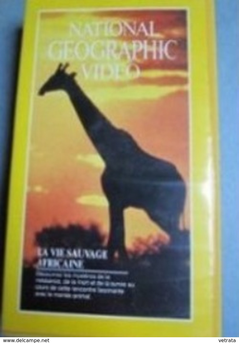 2 Cassettes V H S Du National Geographic :  La Vie Sauvage Africaine, 1980 & Le Gorille, 1981. - Documentaire