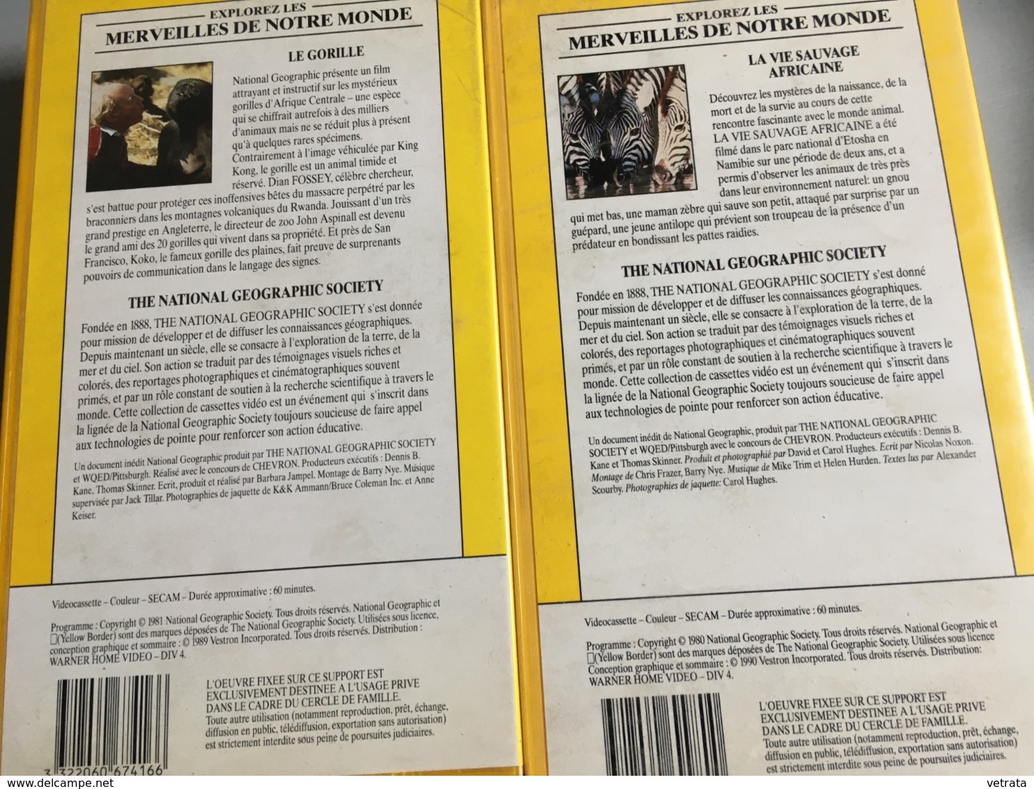 2 Cassettes V H S Du National Geographic :  La Vie Sauvage Africaine, 1980 & Le Gorille, 1981. - Documentales