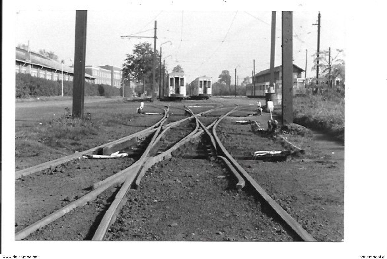 Brasschaat - Polygoon - Trams. (2 Foto's 12,5x9,5 Cm) - Brasschaat