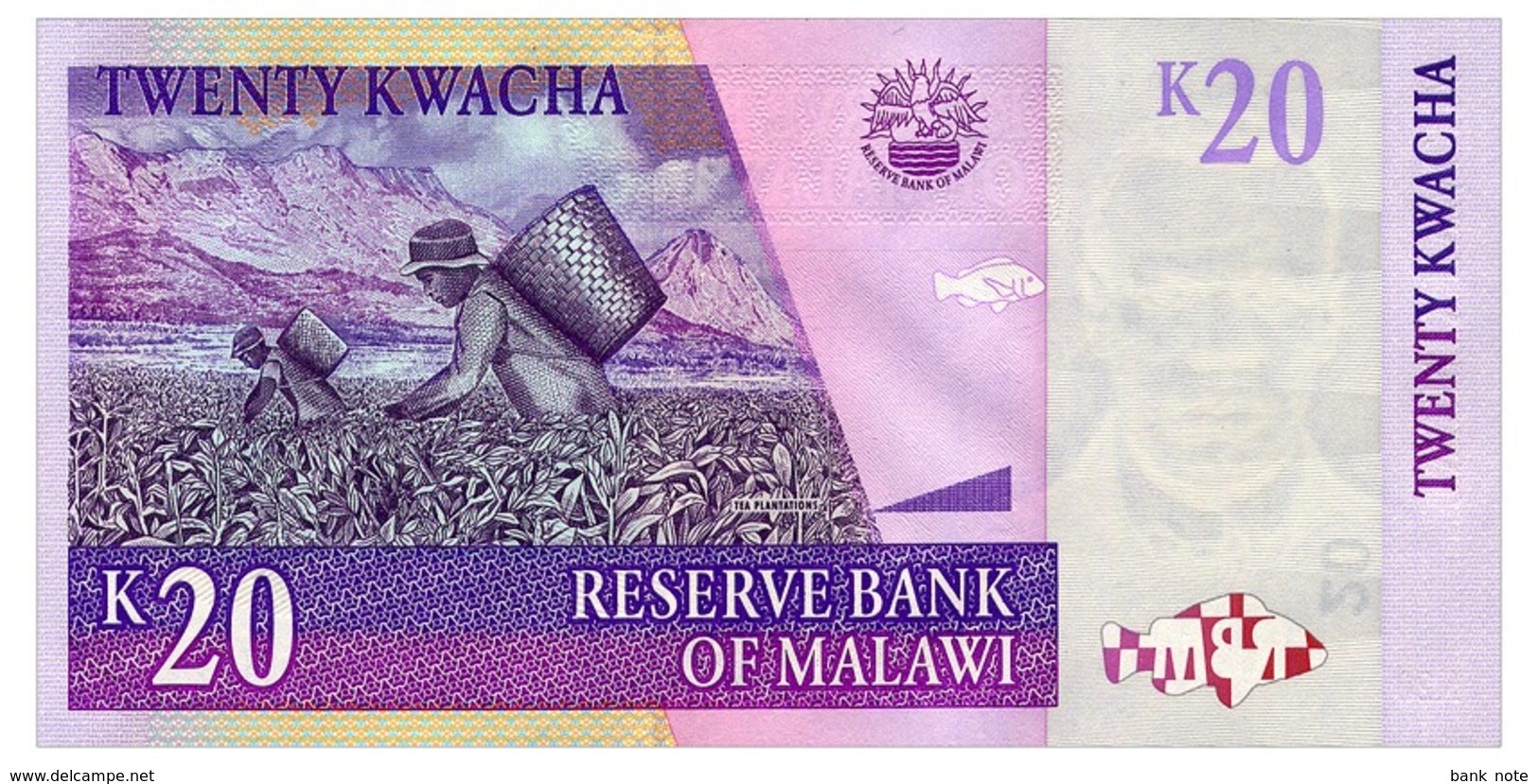 MALAWI 20 KWACHA 2009 Pick 52d Unc - Malawi