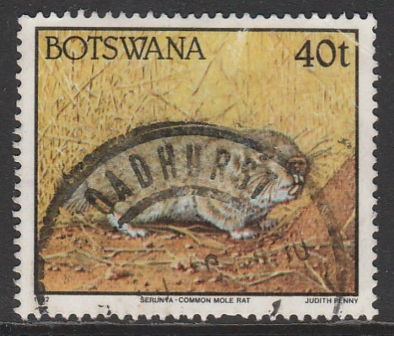 Botswana 1992 Animals  40 T Multicoloured SW 527 O Used - Botswana (1966-...)