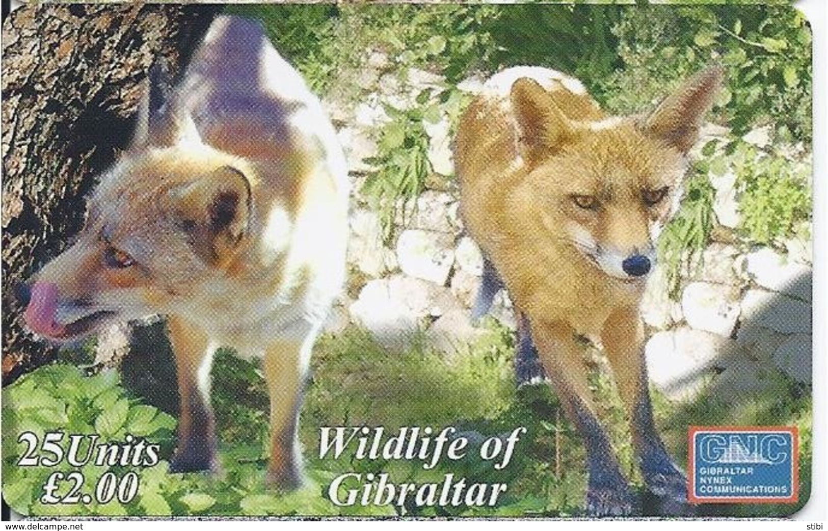 GIBRALTAR - WILDLIFE OF GIBRALTAR - RED FOX - 3.000 EX - Gibraltar