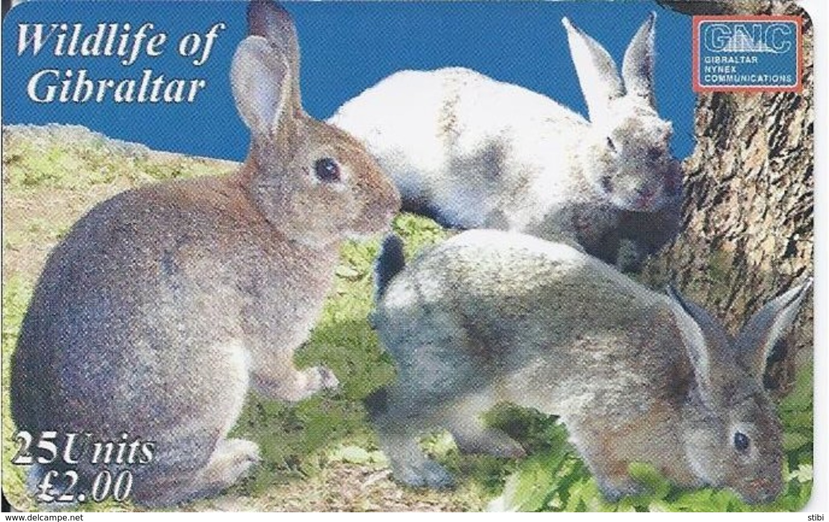 GIBRALTAR - WILDLIFE OF GIBRALTAR - RABBIT - 3.000 EX - Gibraltar