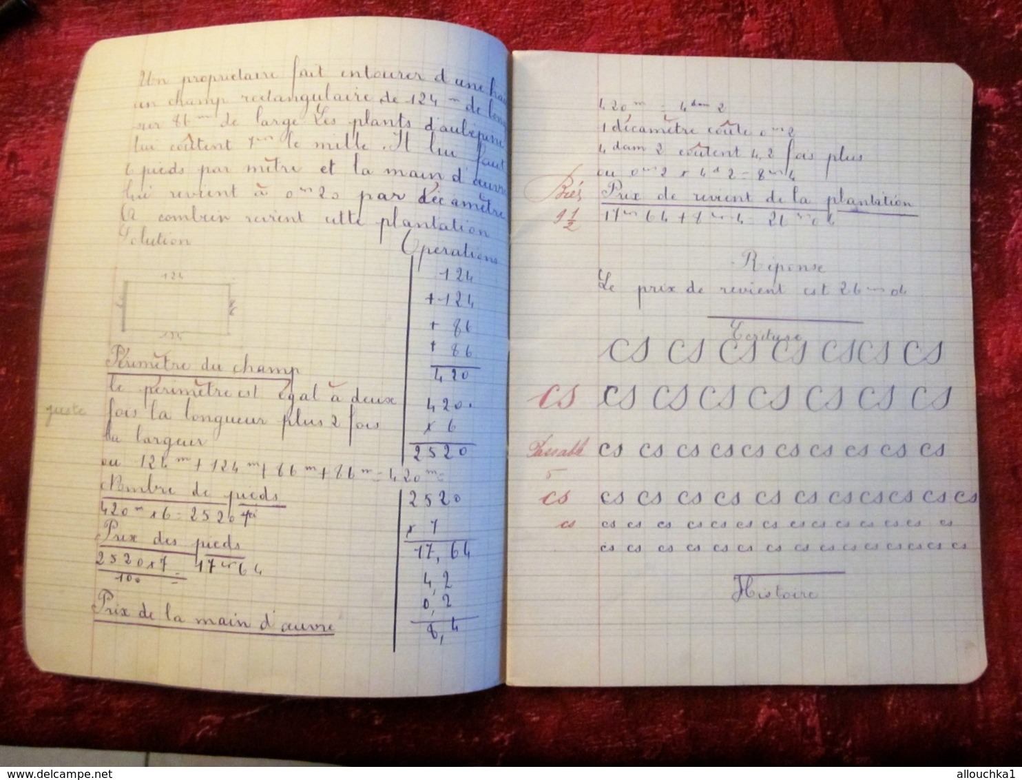 1933 CAHIER ECOLE CHÂTEAUROUX ÉCOLIÈRE Née 1923 Thérèse Taboulet -MANUSCRIT ECRIT PORTE PLUME ENCRE Bureau(objets Liés) - Other & Unclassified