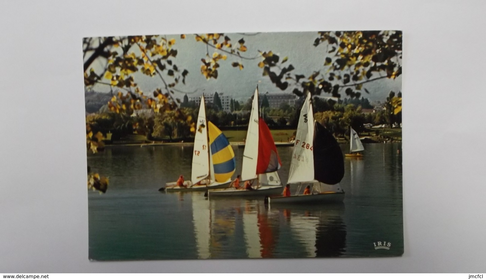 Voiliers Sur Le Lac - Divonne Les Bains