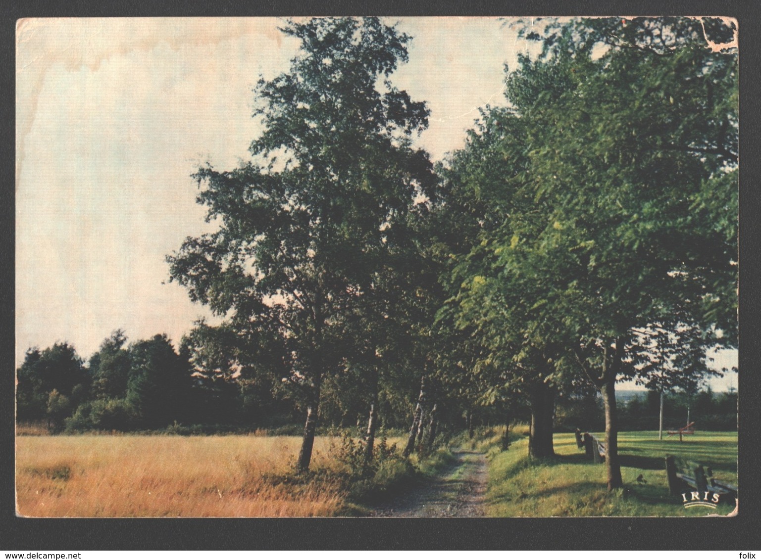 Harre-Saint-Antoine - Home De Vacances Viel Hermitage - Manhay