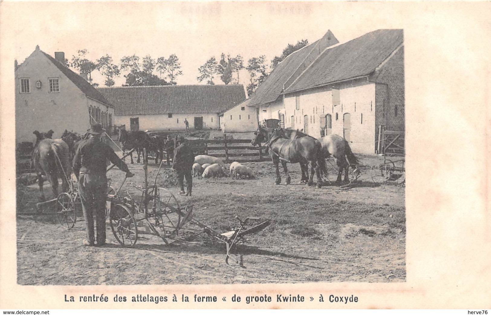 BELGIQUE - COXYDE - La Rentrée Des Attelages à La Ferme De "groote Kwinte" - Koksijde