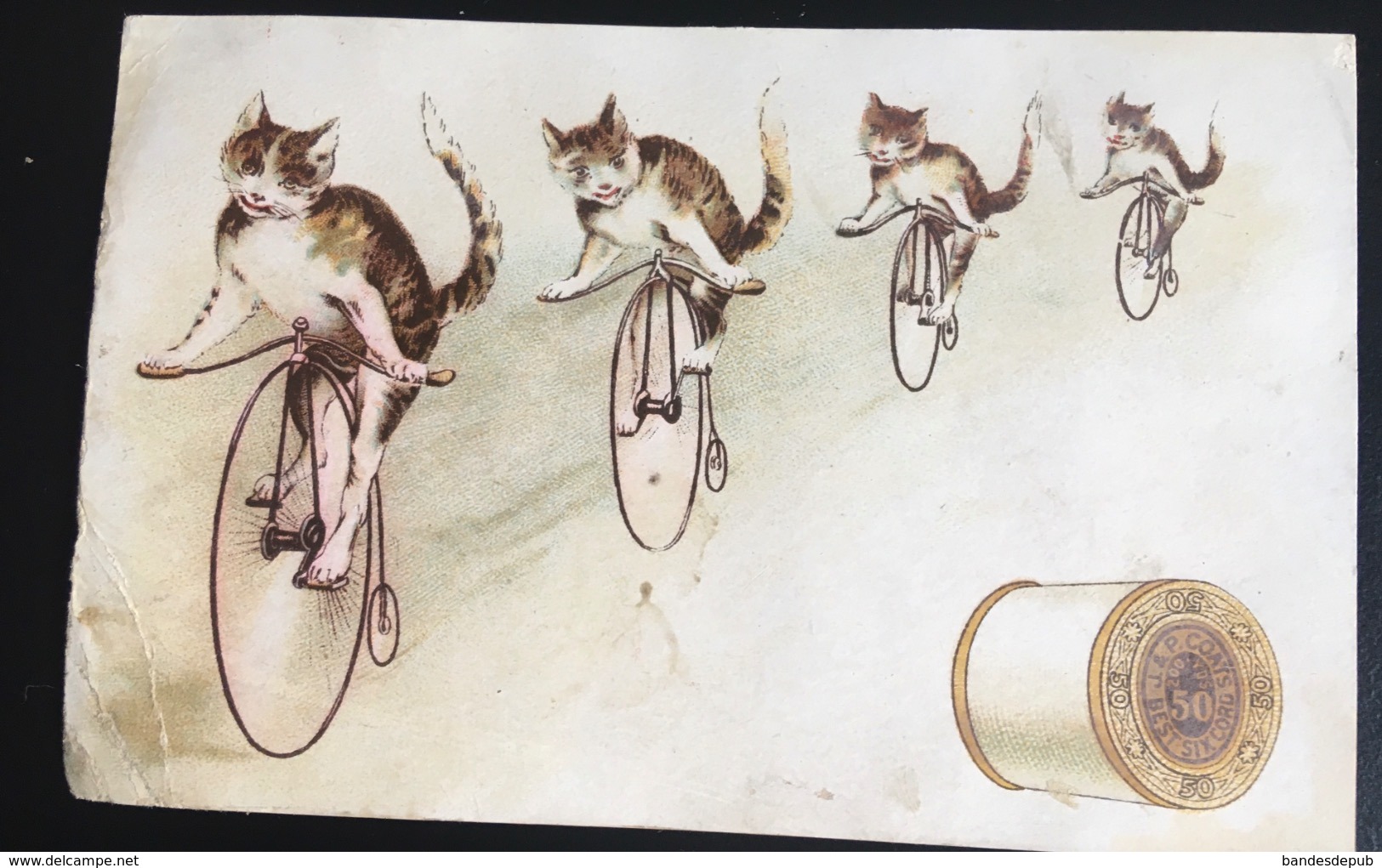 Bobine Fil Coats Chromo Course VELO Chat Cat   Bicyclette Anthropomorphisme Américaine Donaldson - Autres & Non Classés