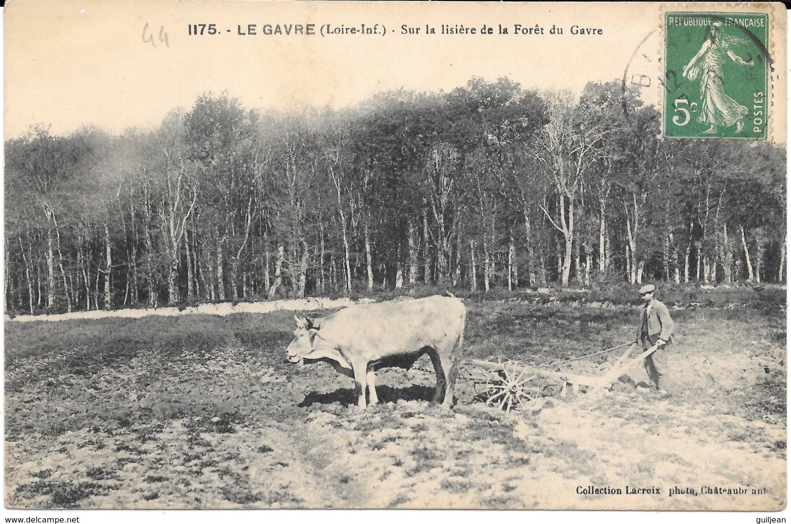 44 - LE GAVRE - 1175 - Sur La Lisière De La Forêt Du Gavre - Attelage - Agriculture - Circulé 1913 - - Le Gavre