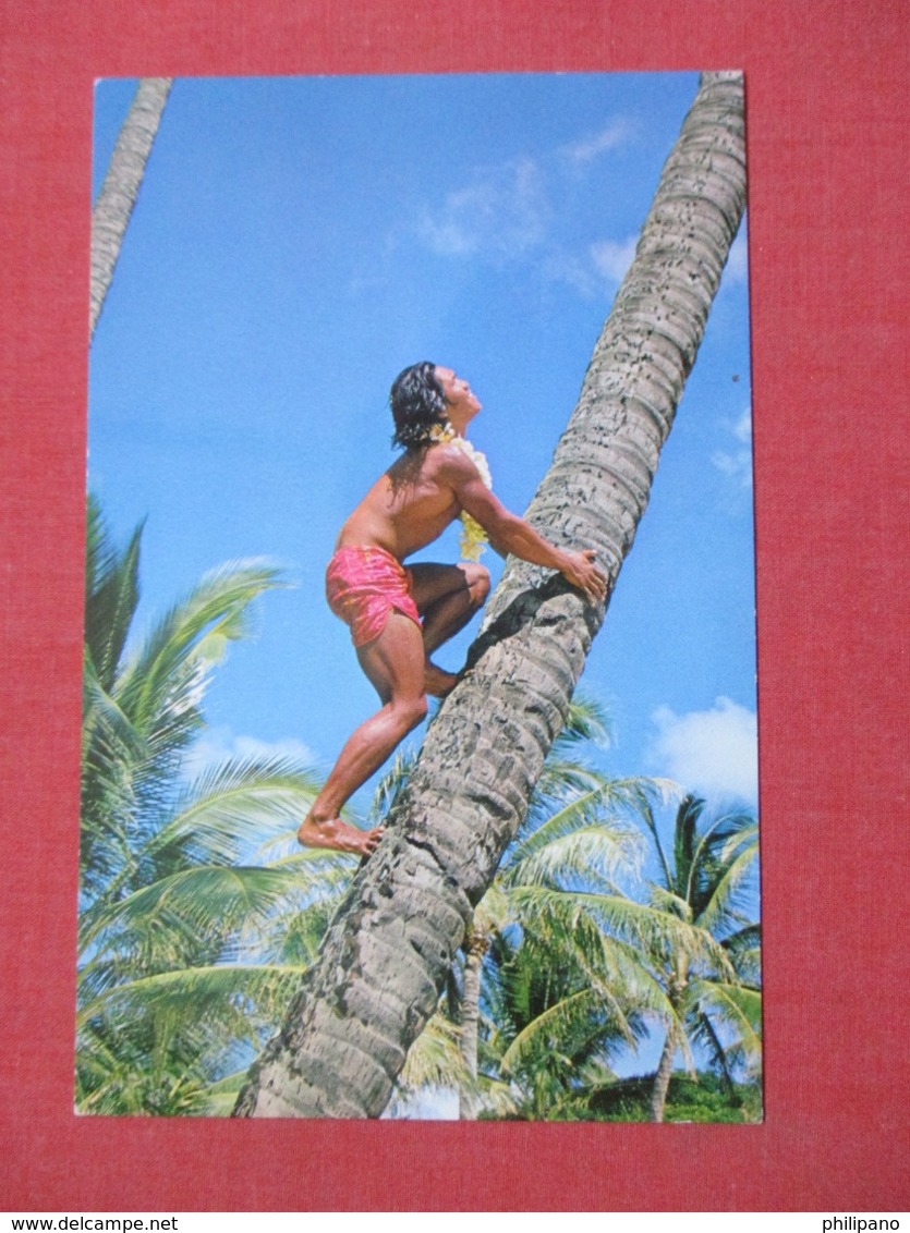 Palm Tree Climber  - Hawaii > Oahu    Ref 3674 - Oahu