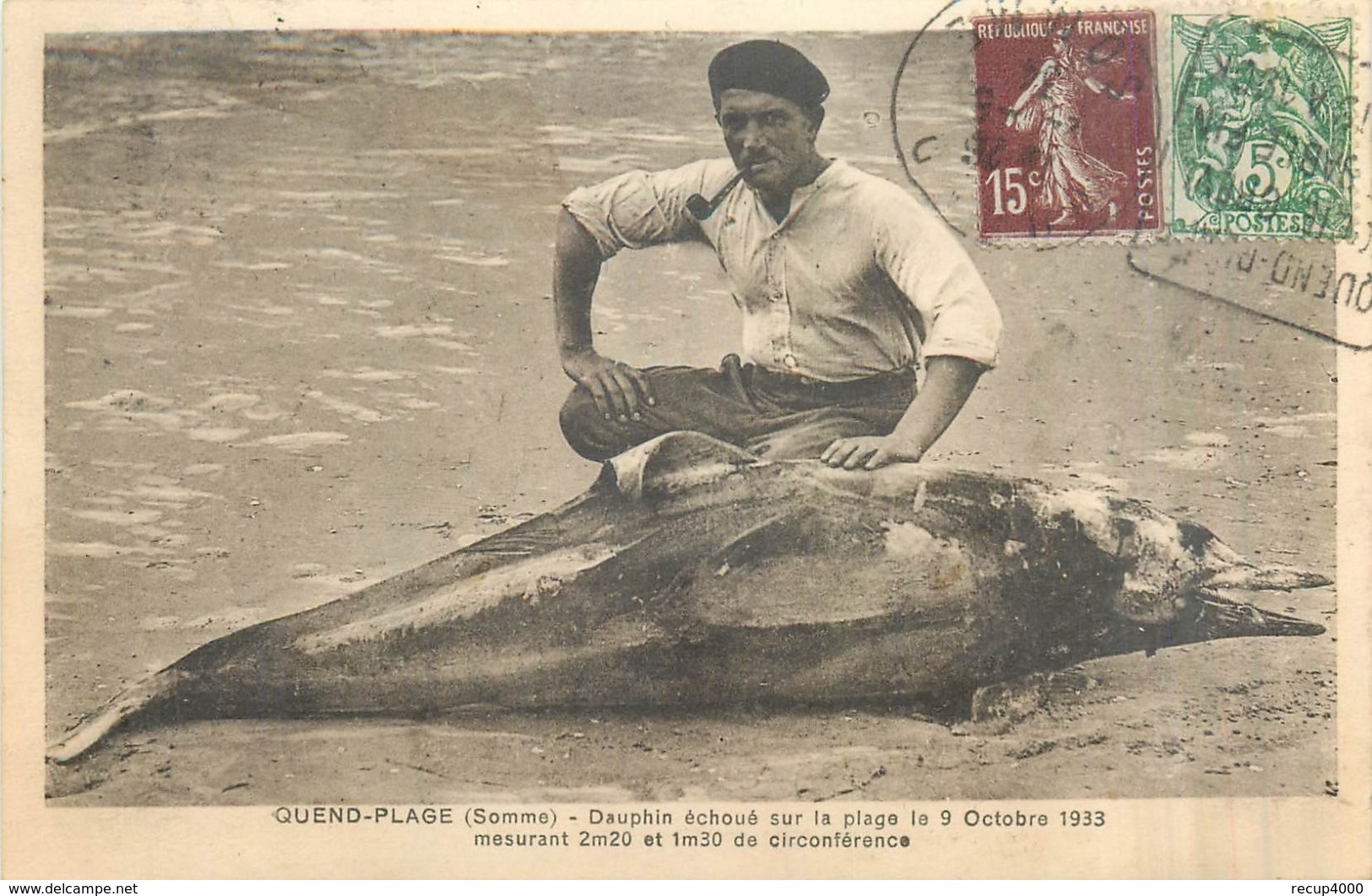 80 QUEND PLAGE  Dauphin échoué Sur La Plage 1933    2scans - Quend