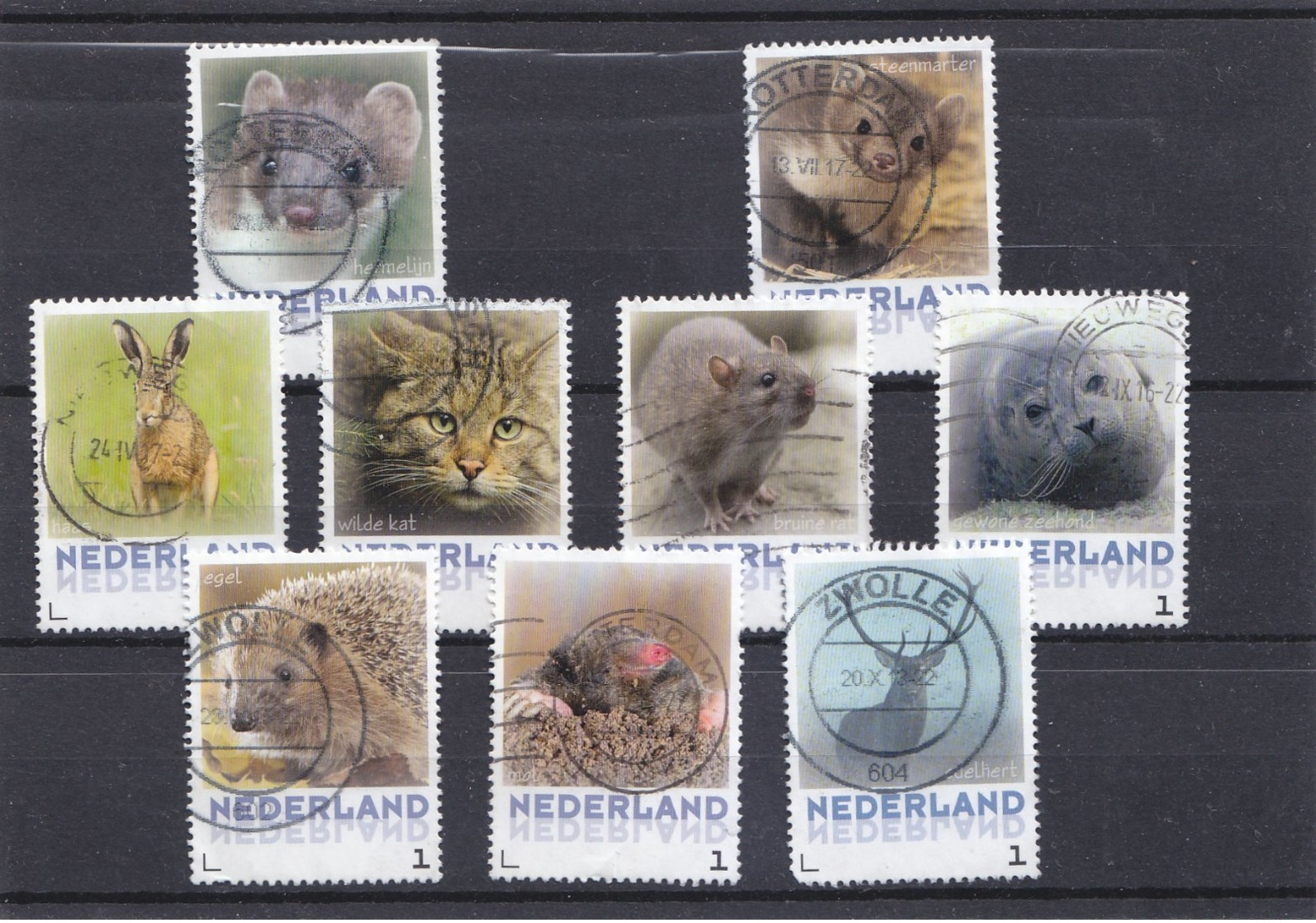 Animals  9 Stamps - Used Stamps
