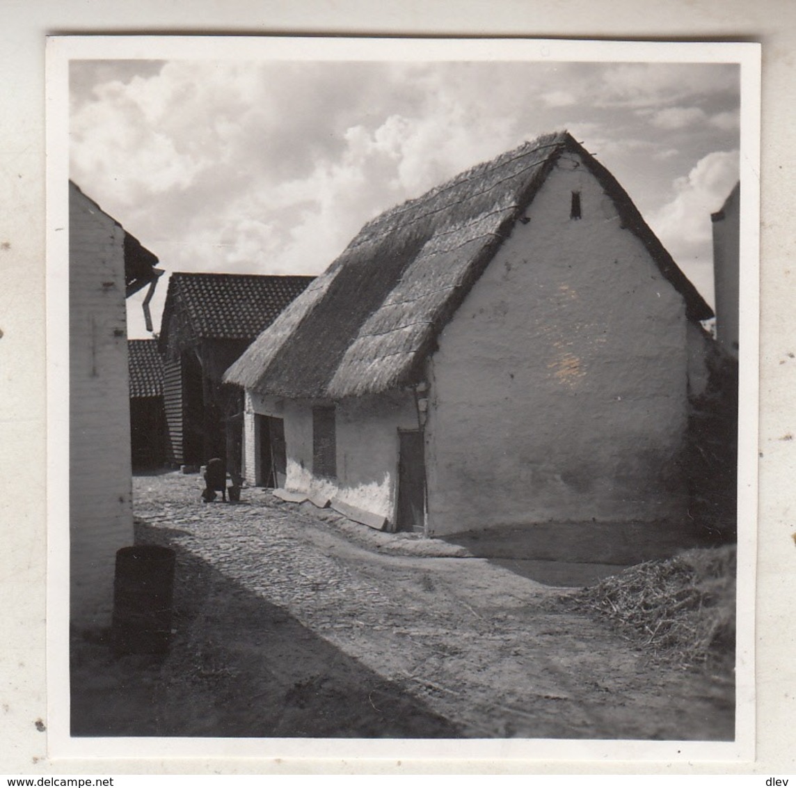 Grimbergen - Boerderij - Te Situeren - Foto 6 X 6 Cm - Orte