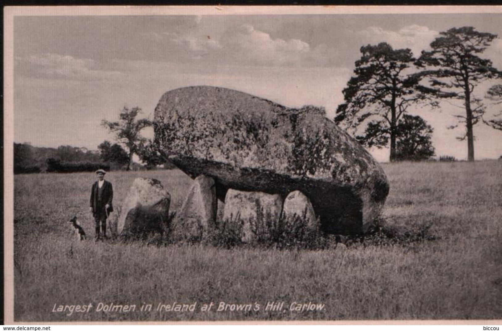 Cp Post Card Largest Dolmen In Ireland At Brown's Hill, Carlow - Carlow