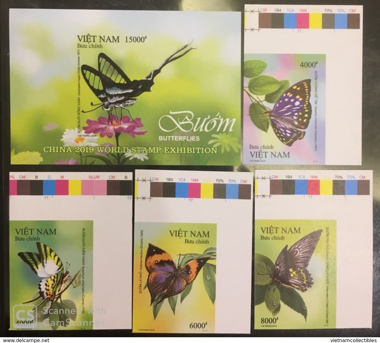 Viet Nam Vietnam MNH Imperf Stamps With Margin & A Souvenir Sheet 2019 : Butterfly (Ms1109) - Viêt-Nam