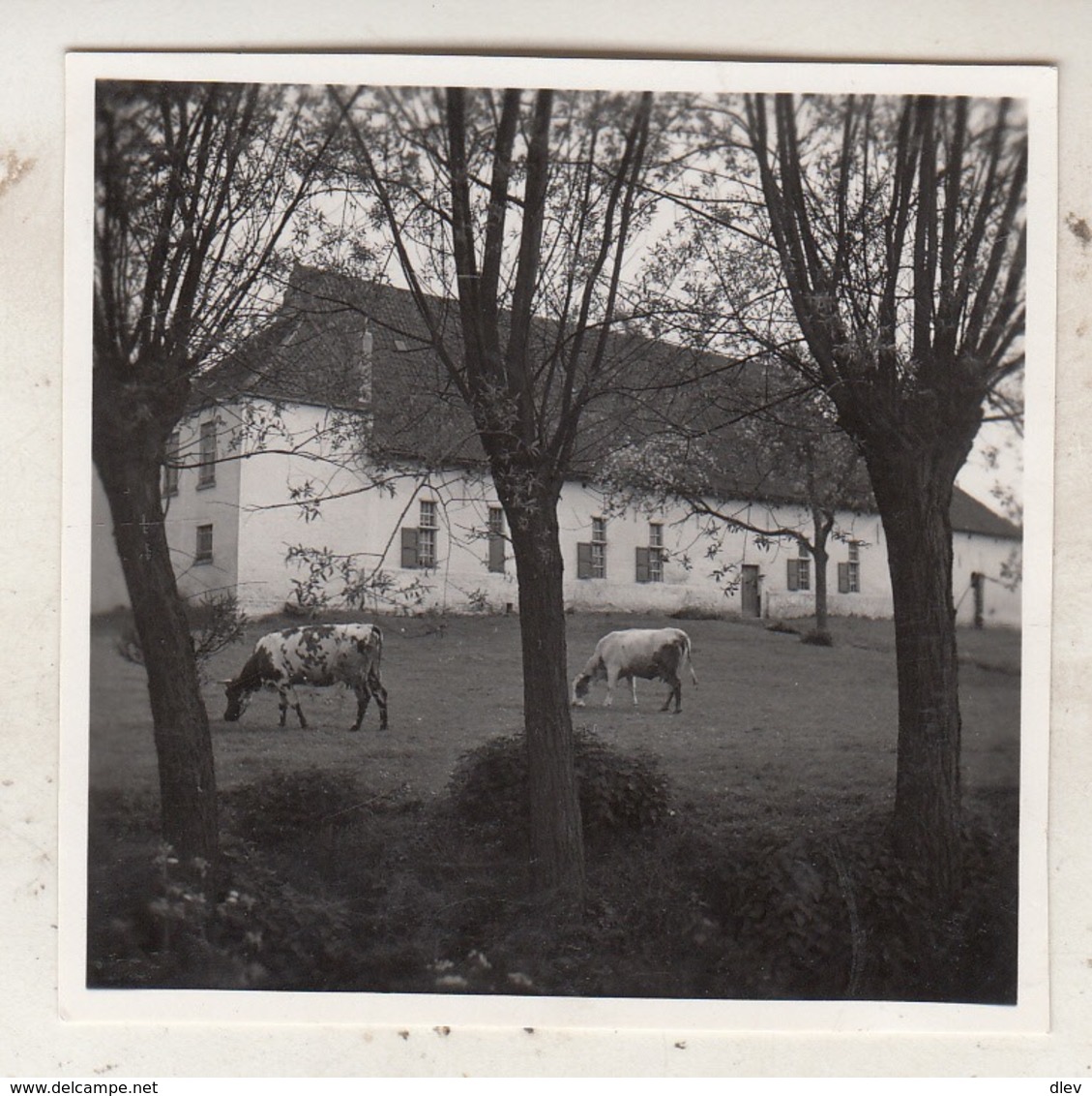 Grimbergen - Boerderij - Te Situeren - Foto 6 X 6 Cm - Orte