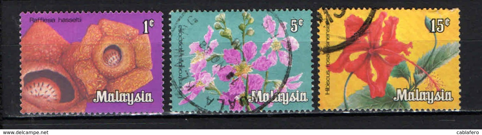 MALESIA - 1979 -  FIORI - FLOWERS - USATI - Malesia (1964-...)