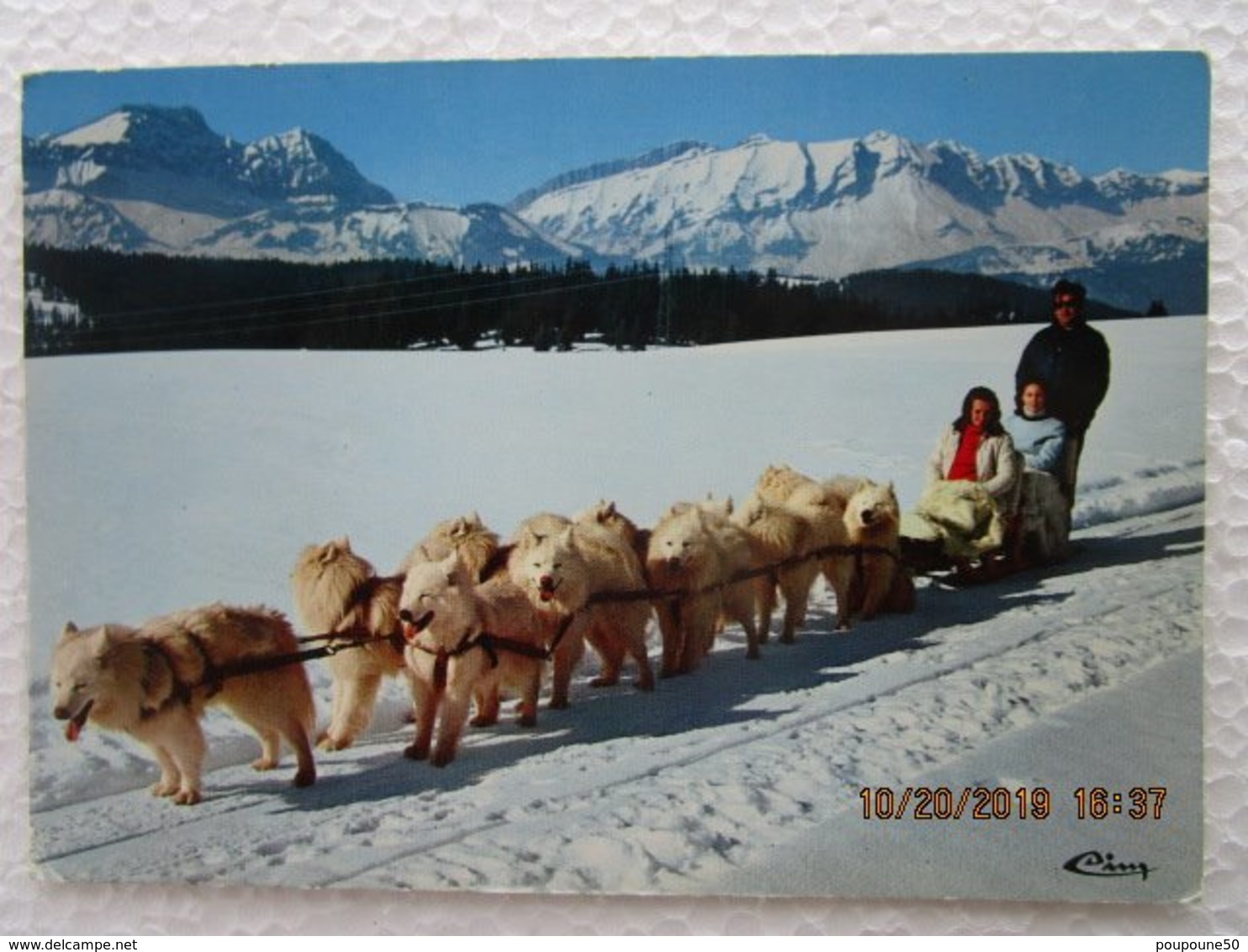 CP 73 HAUTELUCE Au Col Des Saisies - ATTELAGE DE CHIENS SAMOYEDES élevage De M. Gonin - Autres & Non Classés