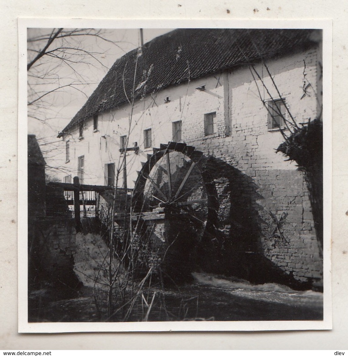 Grimbergen - Tommemolen - Foto 6 X 6 Cm - Andere & Zonder Classificatie