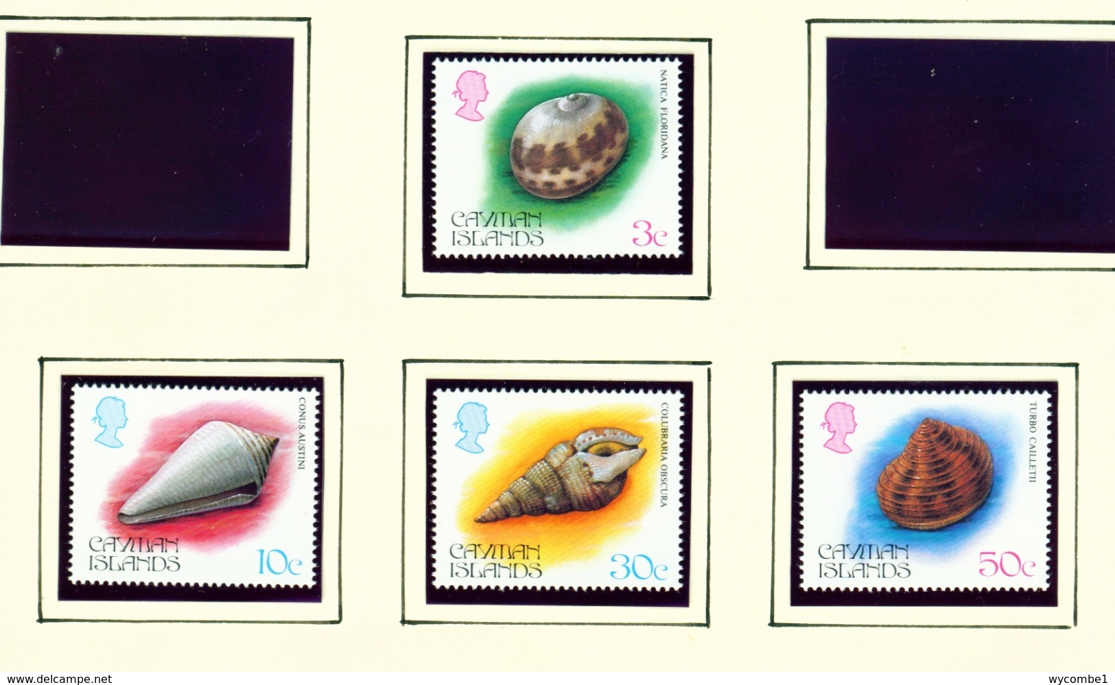 CAYMAN ISLANDS - 1984 Sea Shells Set Unmounted/Never Hinged Mint - Cayman Islands