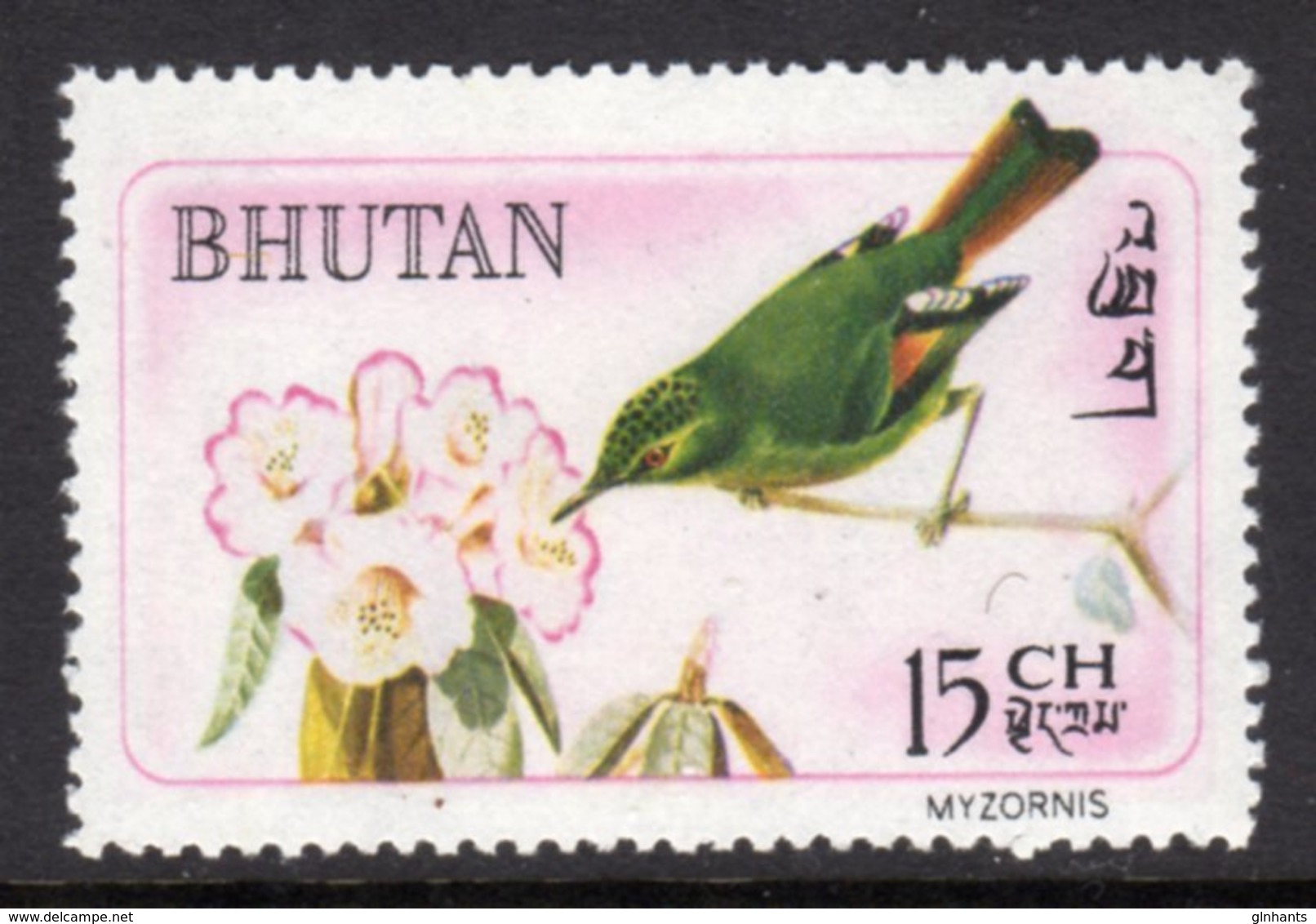 BHUTAN - 1968 RARE BIRDS MYZORNIS 15CH BIRD STAMP FINE MNH ** SG 191 - Bhutan