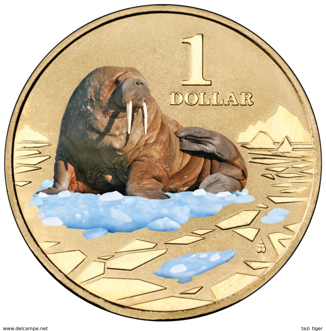 AUSTRALIA • 2013 • $1 • POLAR ANIMALS - WALRUS • Coloured Uncirculated Coin In Card - Sonstige & Ohne Zuordnung