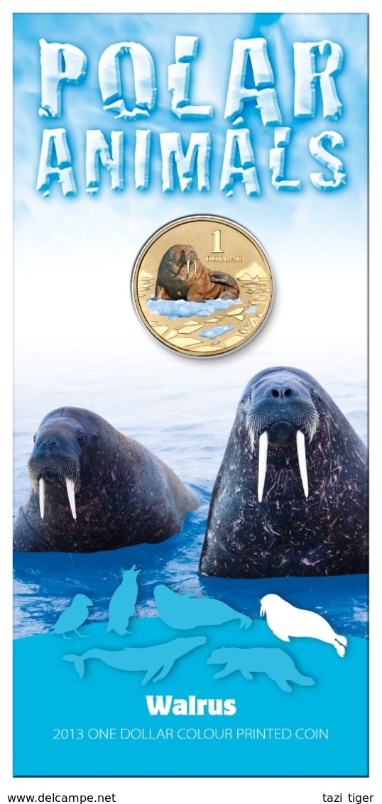 AUSTRALIA • 2013 • $1 • POLAR ANIMALS - WALRUS • Coloured Uncirculated Coin In Card - Sonstige & Ohne Zuordnung