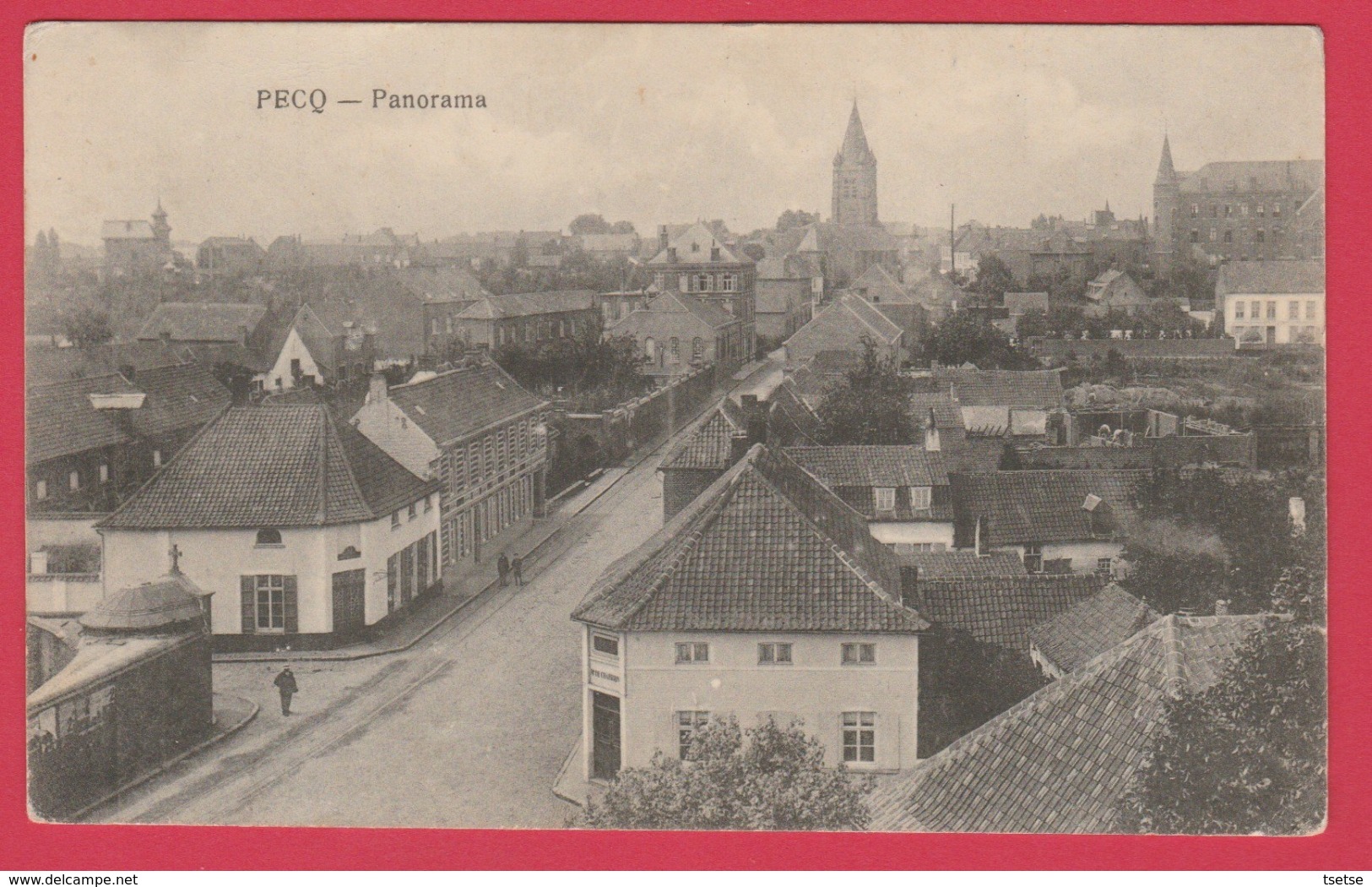 Pecq - Panorama ... De La Commune - Feldpost 1919 ( Voir Verso ) - Pecq