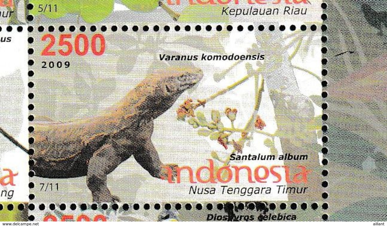 Indonésie. Indonesia. 2009. Varan .Dragon De Komodo; - Other & Unclassified