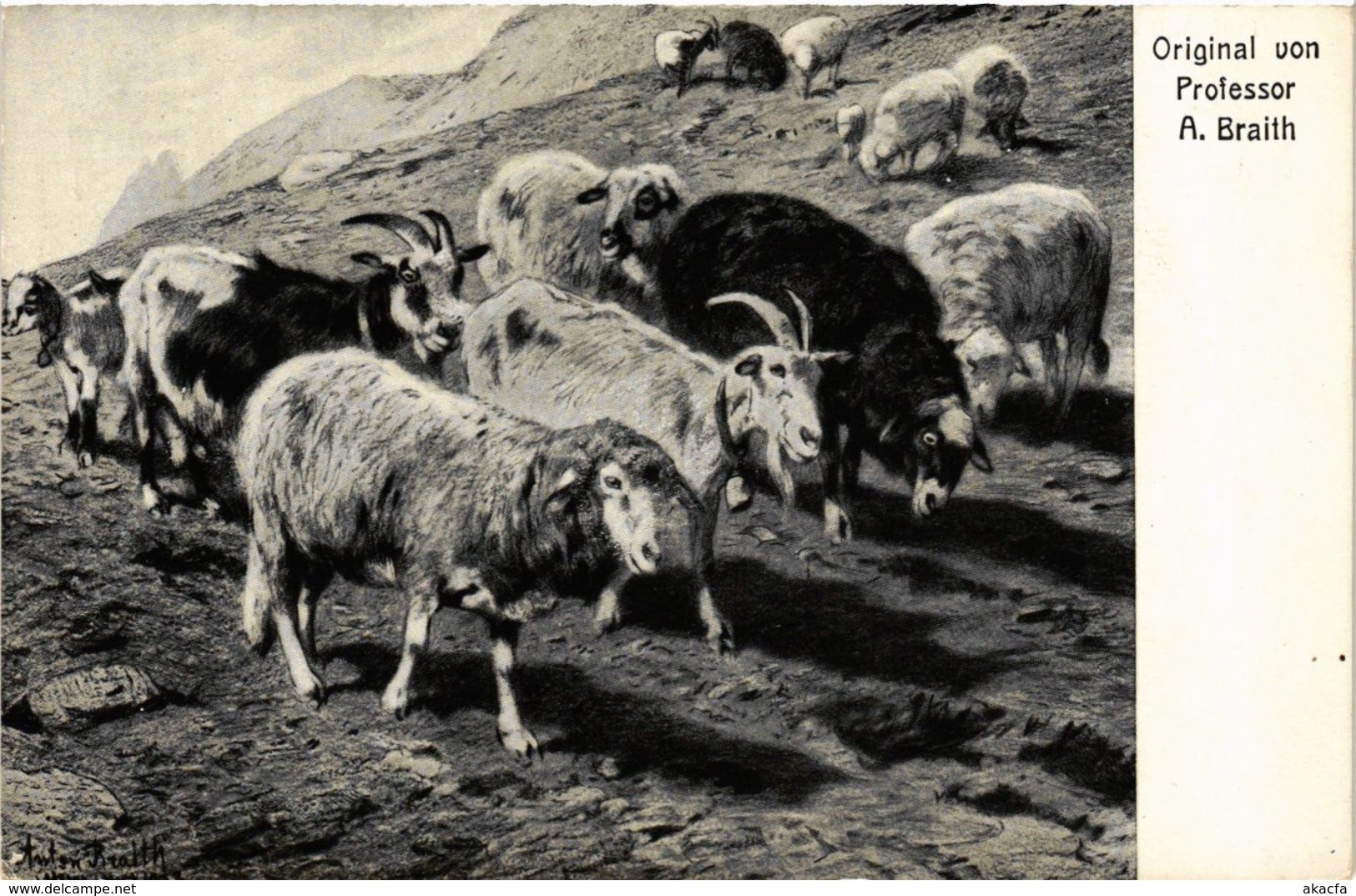CPA AK Biberach A. D. Riss - Prof. A. Braith-Museum - Goats GERMANY (913043) - Biberach