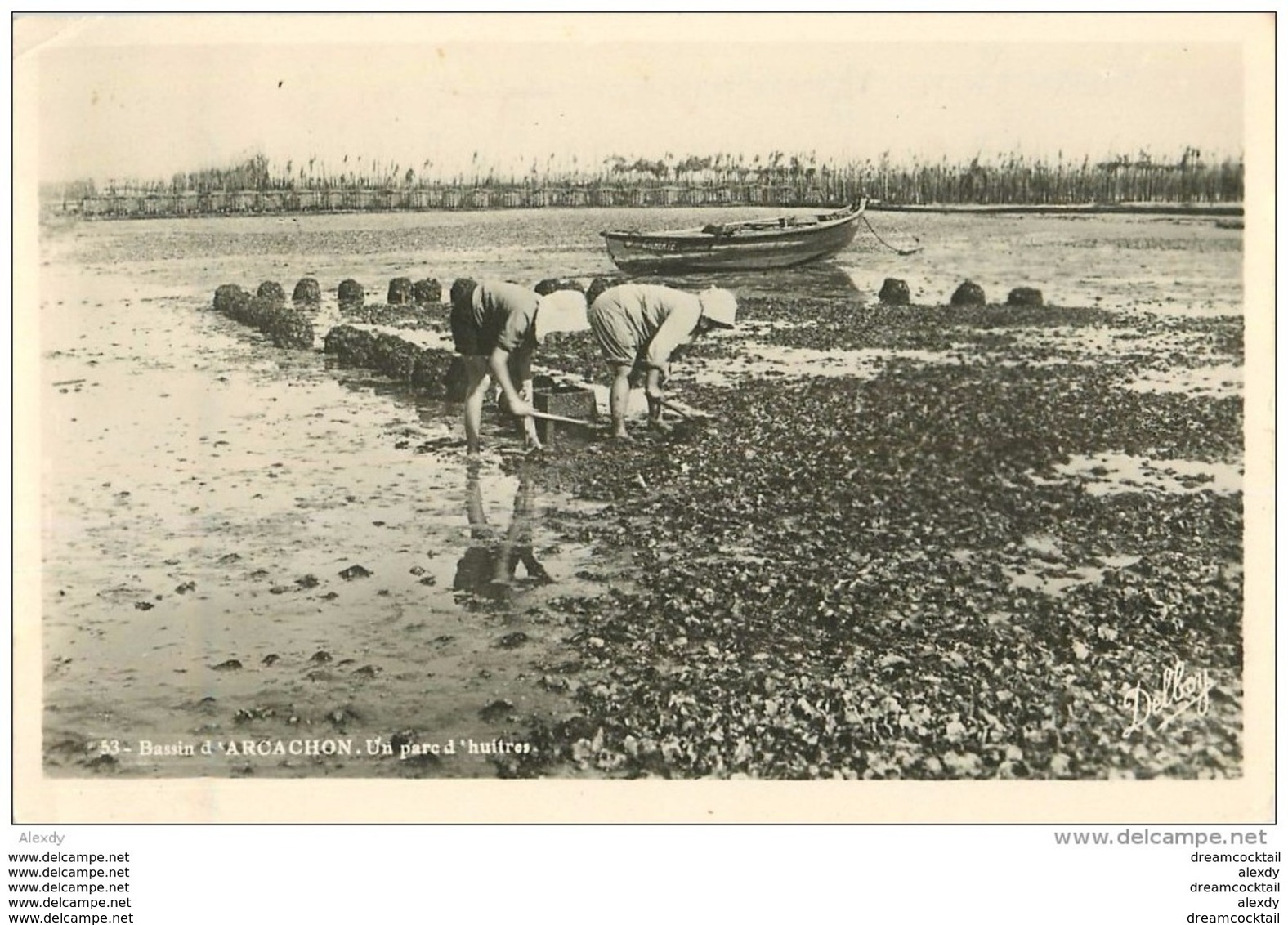 Photo Cpsm Cpm 33 ARCACHON. Un Parc D'Huîtres 1959. Crustacés Et Métiers De La Mer - Arcachon