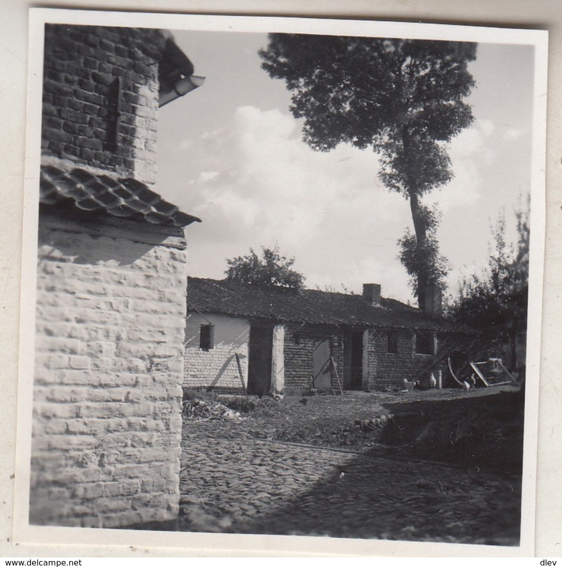 Grimbergen - Te Situeren - Foto 6 X 6 Cm - Lieux