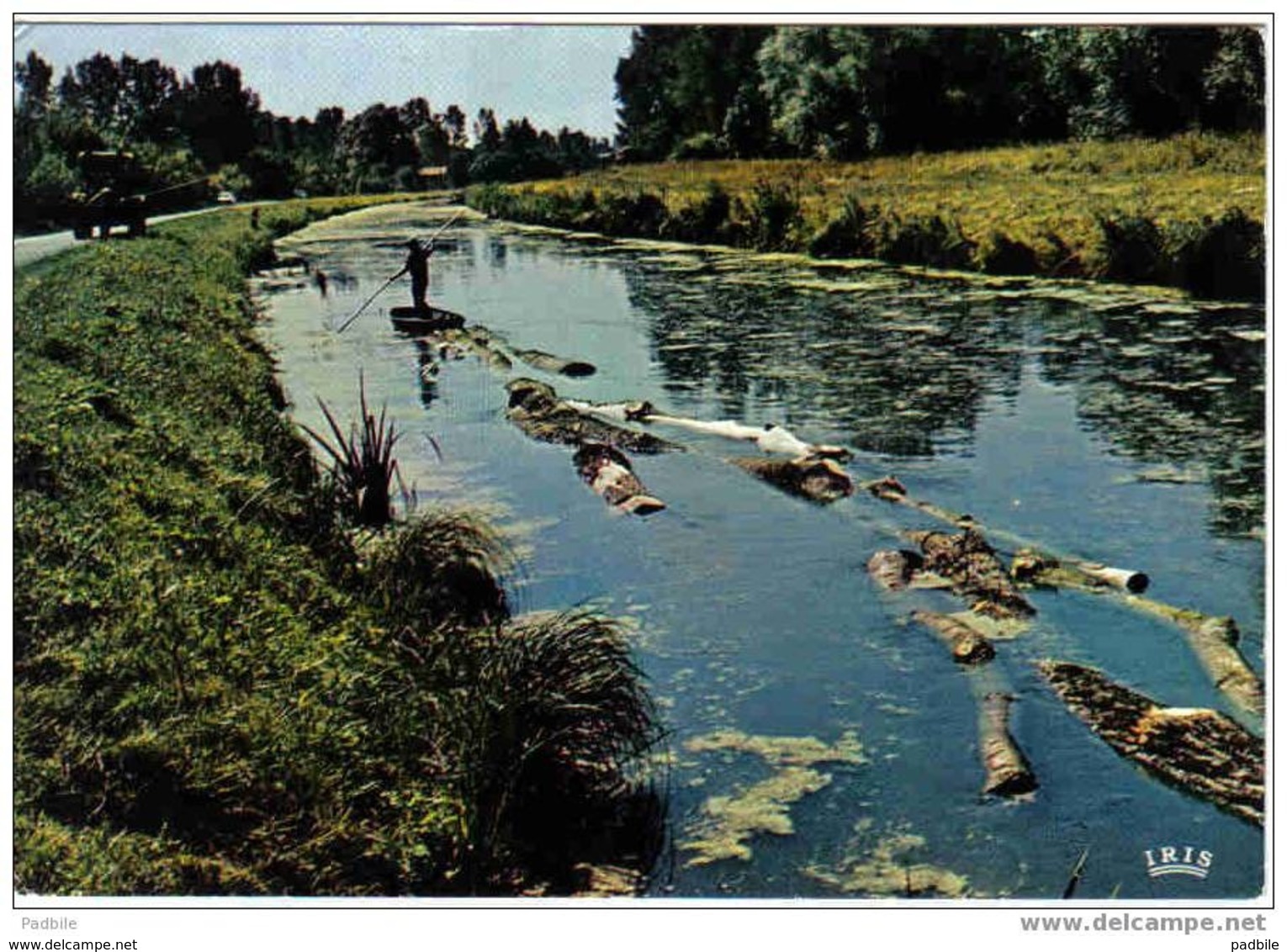 Carte Postale  79. Marais Poitevin  Transport Du Bois Par Voie D'eau - Beauvoir Sur Niort