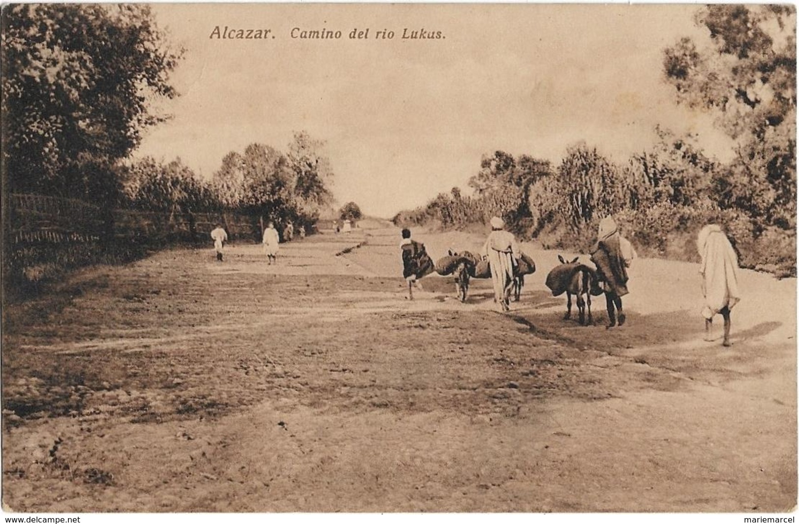 MAROC - ALCAZAR - CAMINO  DEL RIO LUKUS - Hommes - Ânes - Carte Sépia - Autres & Non Classés