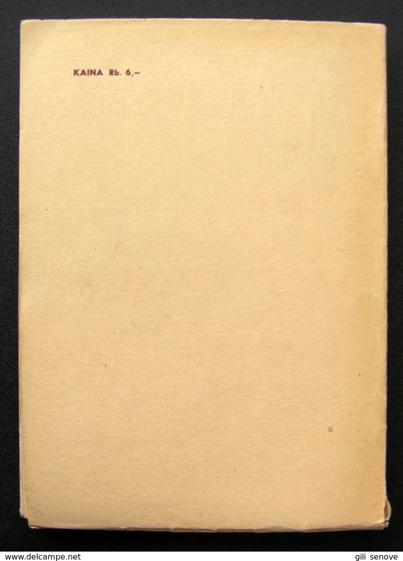 Lithuanian book / Jaunasis technikas by Masiulionis 1941