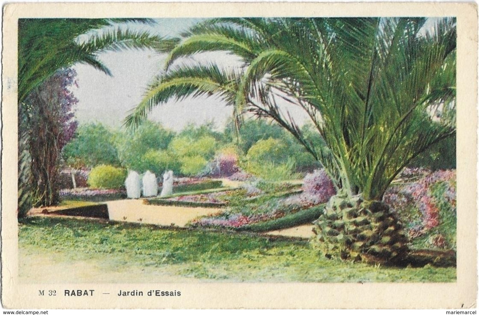 MAROC - RABAT - JARDIN D'ESSAIS - Carte Colorisée - Rabat