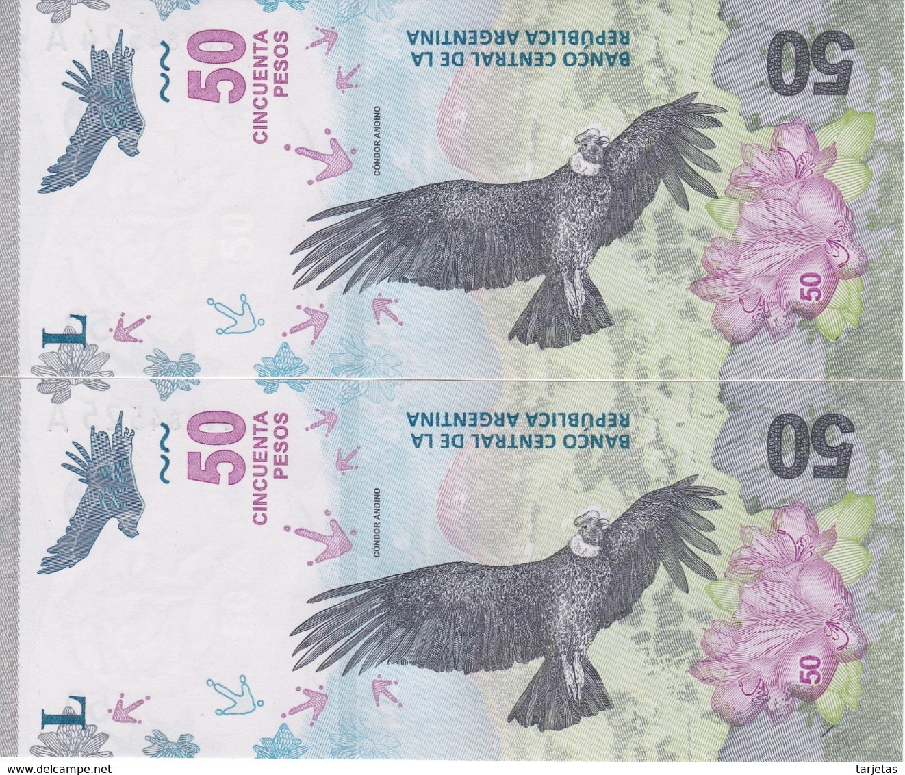 PAREJA CORRELATIVA DE ARGENTINA DE 50 PESOS DE UN CONDOR SIN CIRCULAR - UNCIRCULATED (BANKNOTE) - Argentina