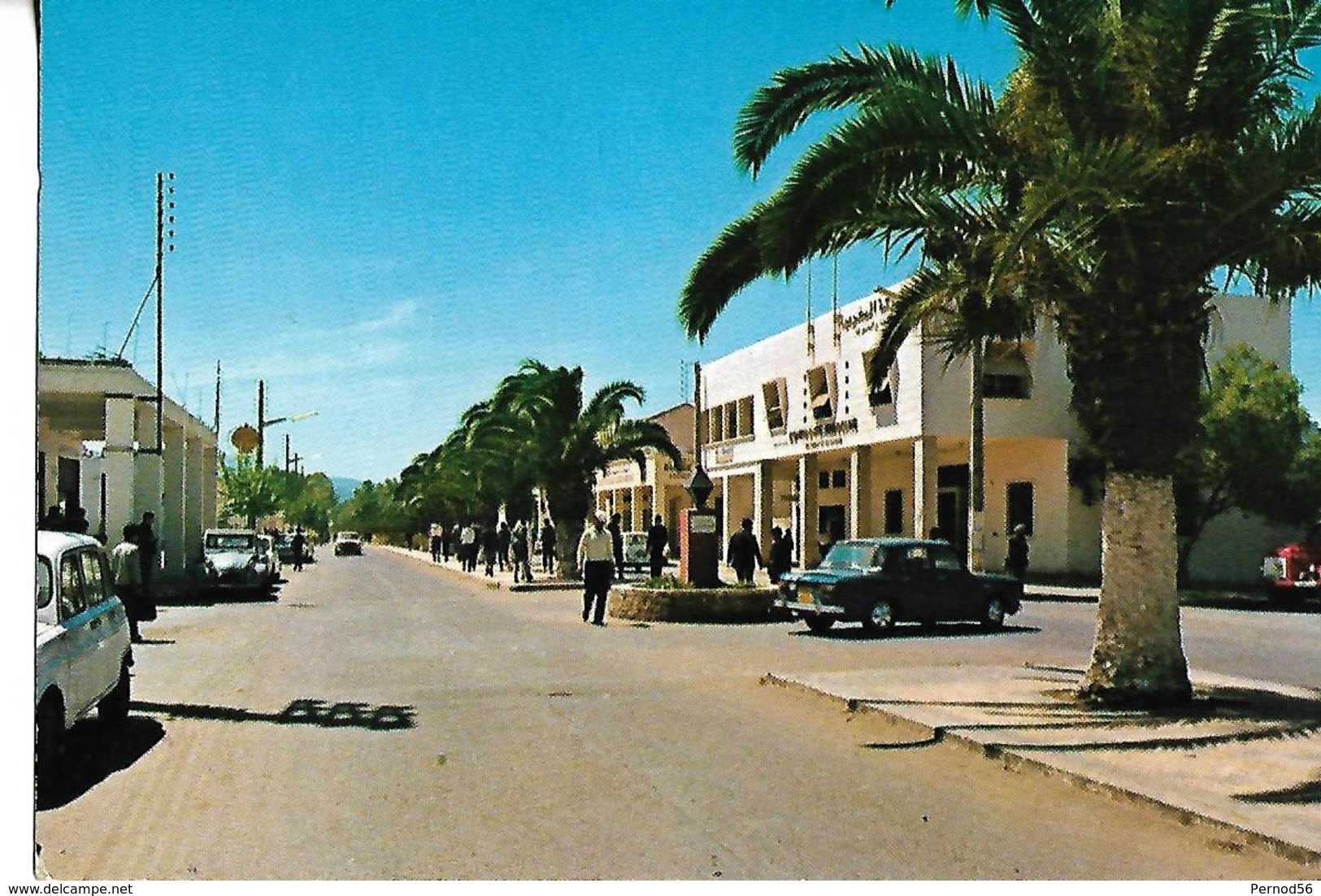 CPSM BERKANE MAROC Véhicules Anciens 4 L   SIMCA  2 CV   Palmiers - Autres & Non Classés