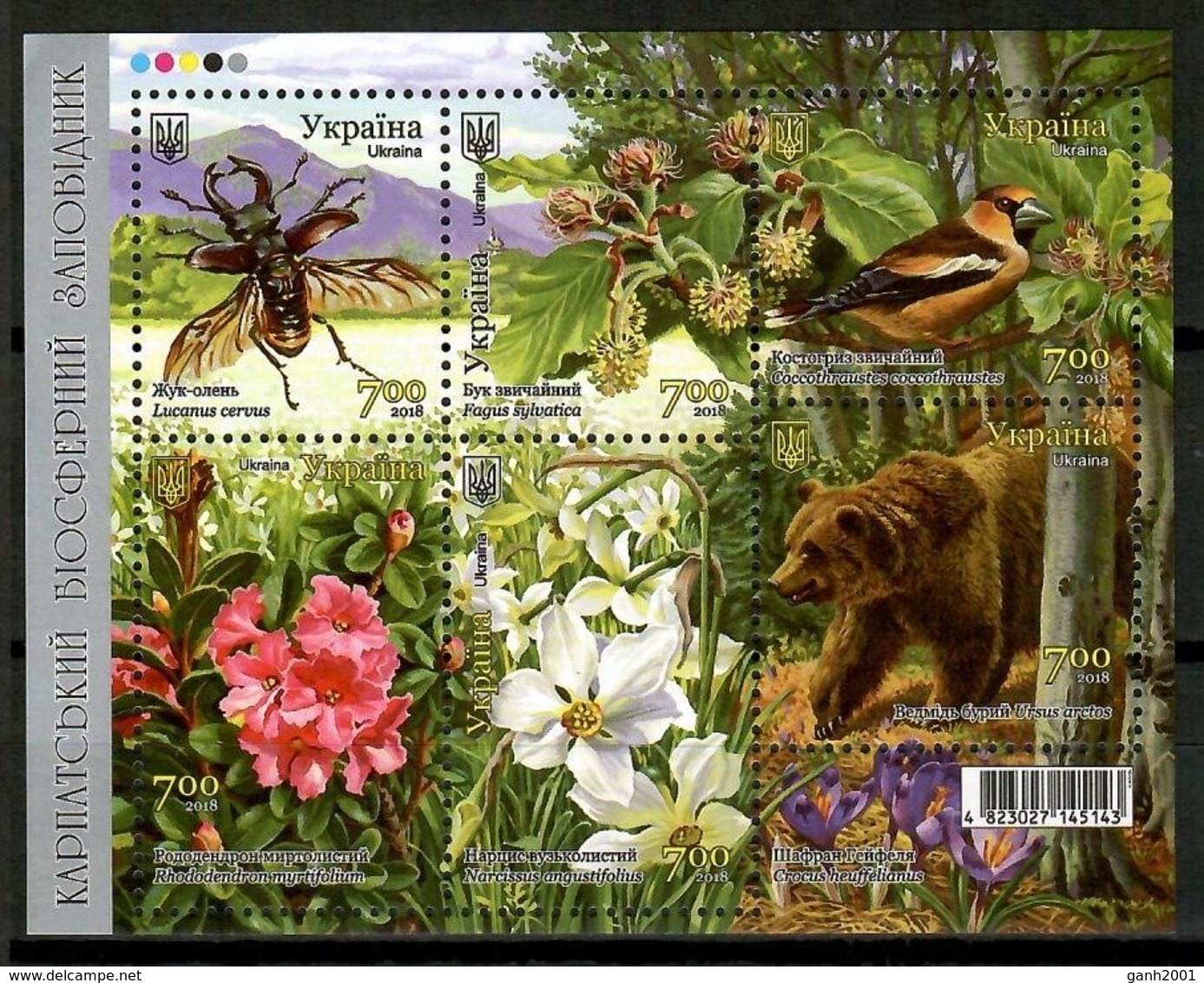 Ukraine 2018 Ucrania / Flowers Birds Insects Bear MNH Aves Flores Inse4ctos Vögel Blumen / Cu13613  18-34 - Otros & Sin Clasificación