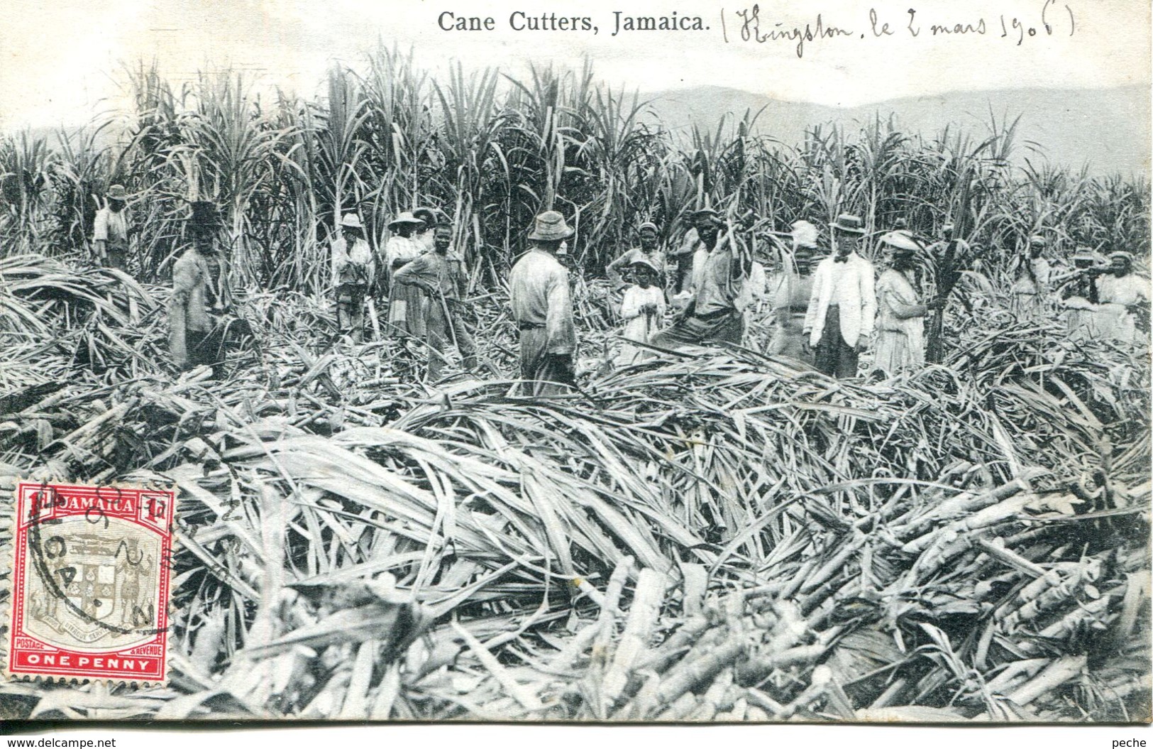 N°77543 -cpa Cane Cutters Jamaica - Jamaïque